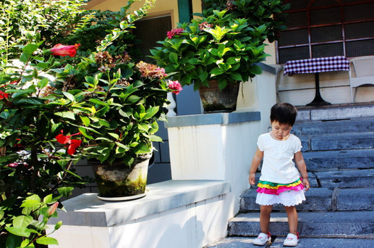 北戴河起士林大饭店主图