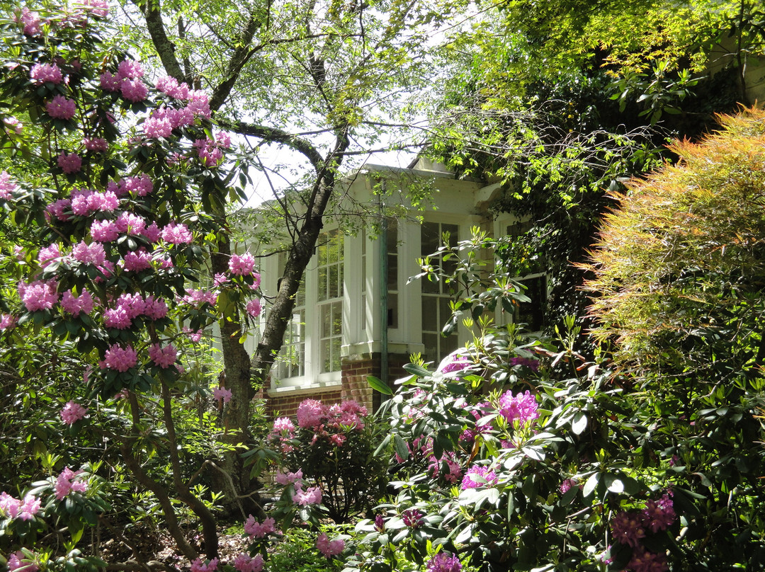 Sayen House and Gardens景点图片