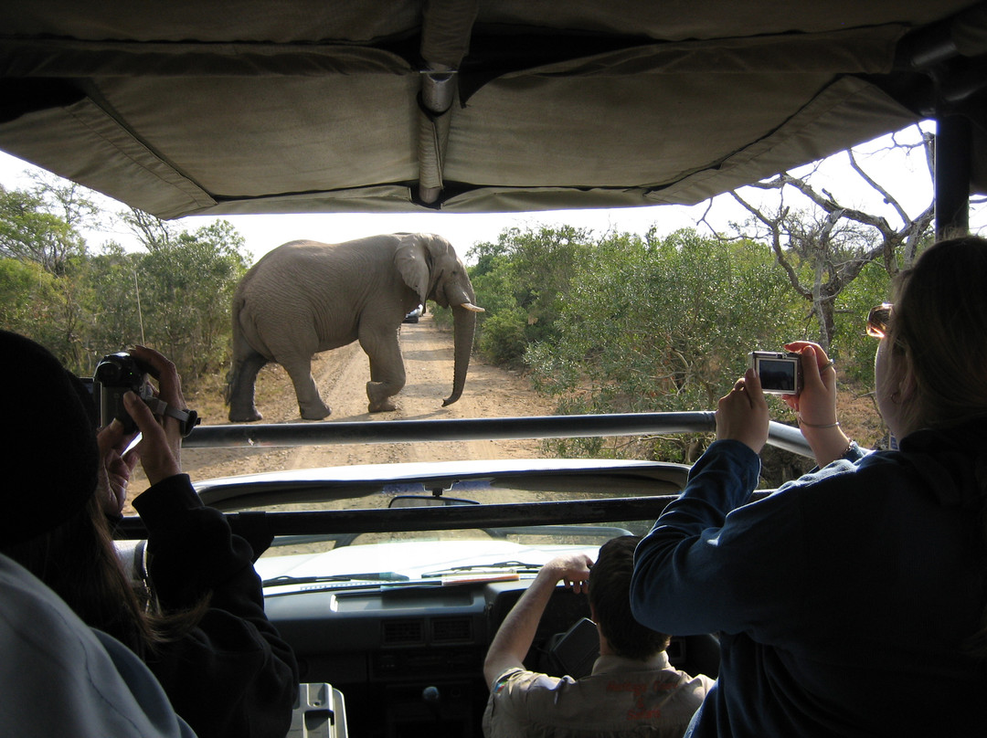 Heritage Tours & Safaris-圣露西亚必去景点