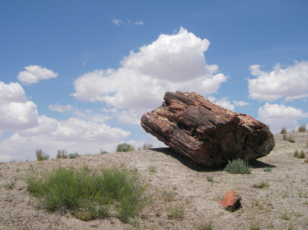 66号公路-芝加哥必去景点