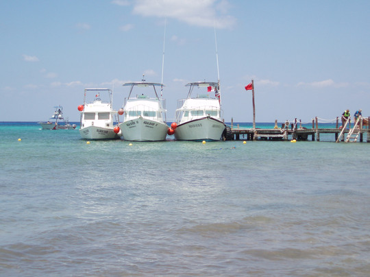 Dressel Divers Cozumel-考祖梅必去景点