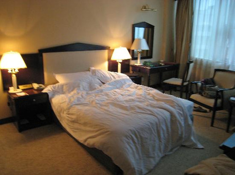 皇嘉大酒店主图