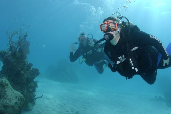 Stuart Cove's Dive Bahamas-新普罗维登斯岛必去景点