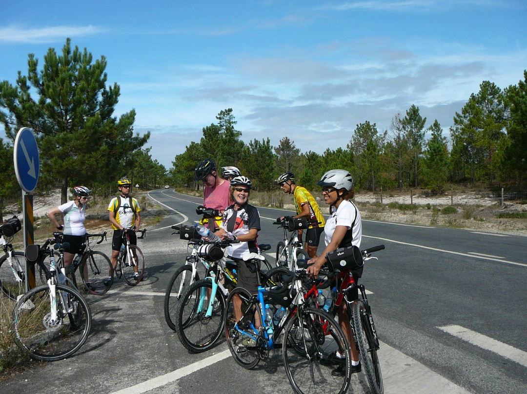 Portugal Bike Tours-奥迪韦拉什必去景点