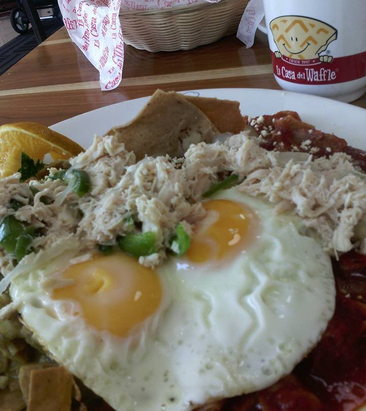 Pinos餐馆和美食-La Casa Del Waffle