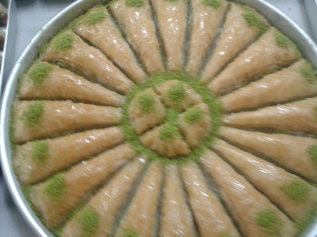 Dikili Cevat Usta