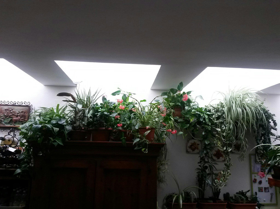 Giucano酒店住宿-B&B Le Magnolie