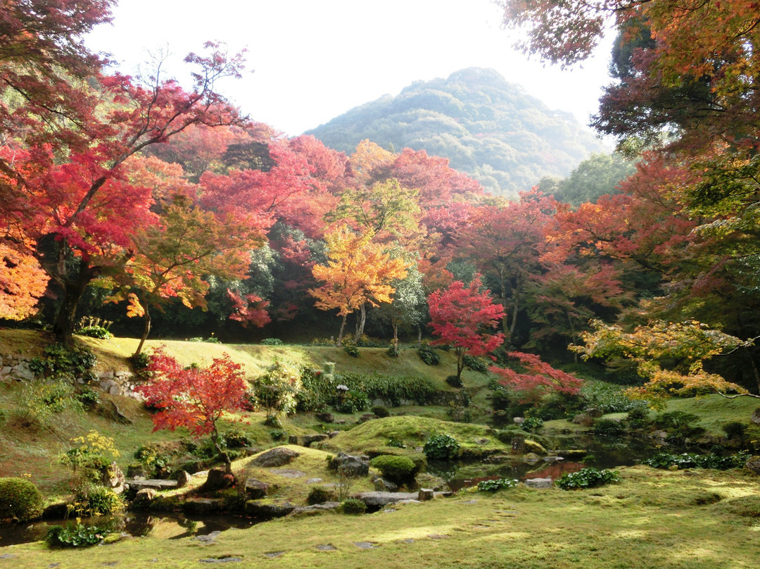 Kiyomizu Temple景点图片