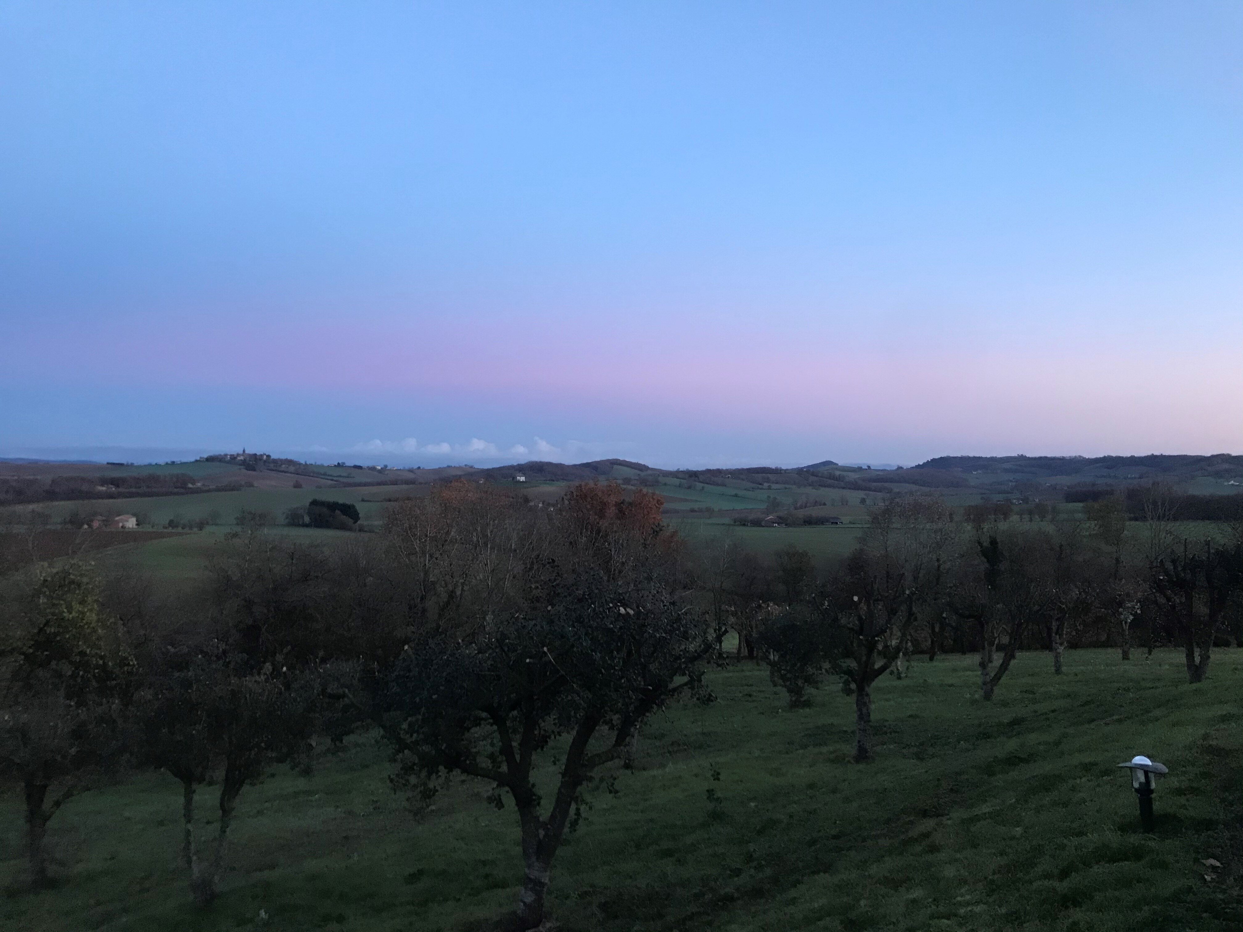 Domaine d'En Naudet-酒店景观