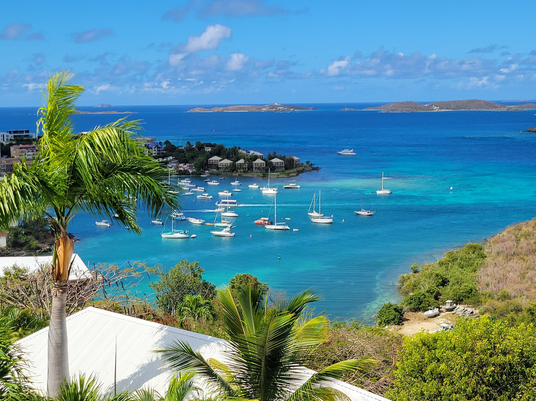 Estate Lindholm主图