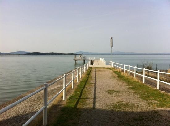 Lago Trasimeno-佩鲁贾必去景点