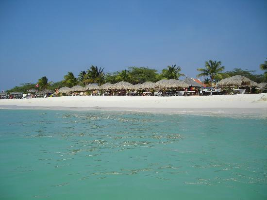 Eagle Beach-棕榈/鹰海滩必去景点