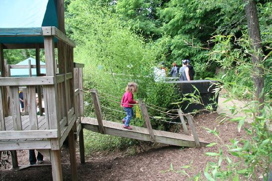 Akron Zoo-阿克伦必去景点