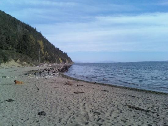 Clayton Beach-贝灵厄姆必去景点