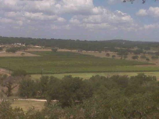 Driftwood Estate Winery-Driftwood必去景点