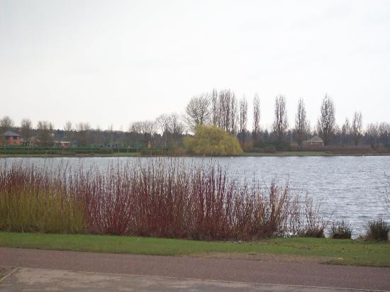 Willen Lake景点图片