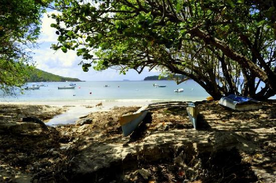 Hull Bay-圣 托马斯必去景点