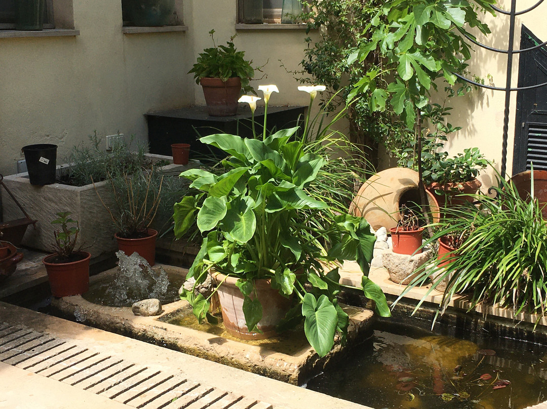 Hotel Restaurant Sa Placa主图