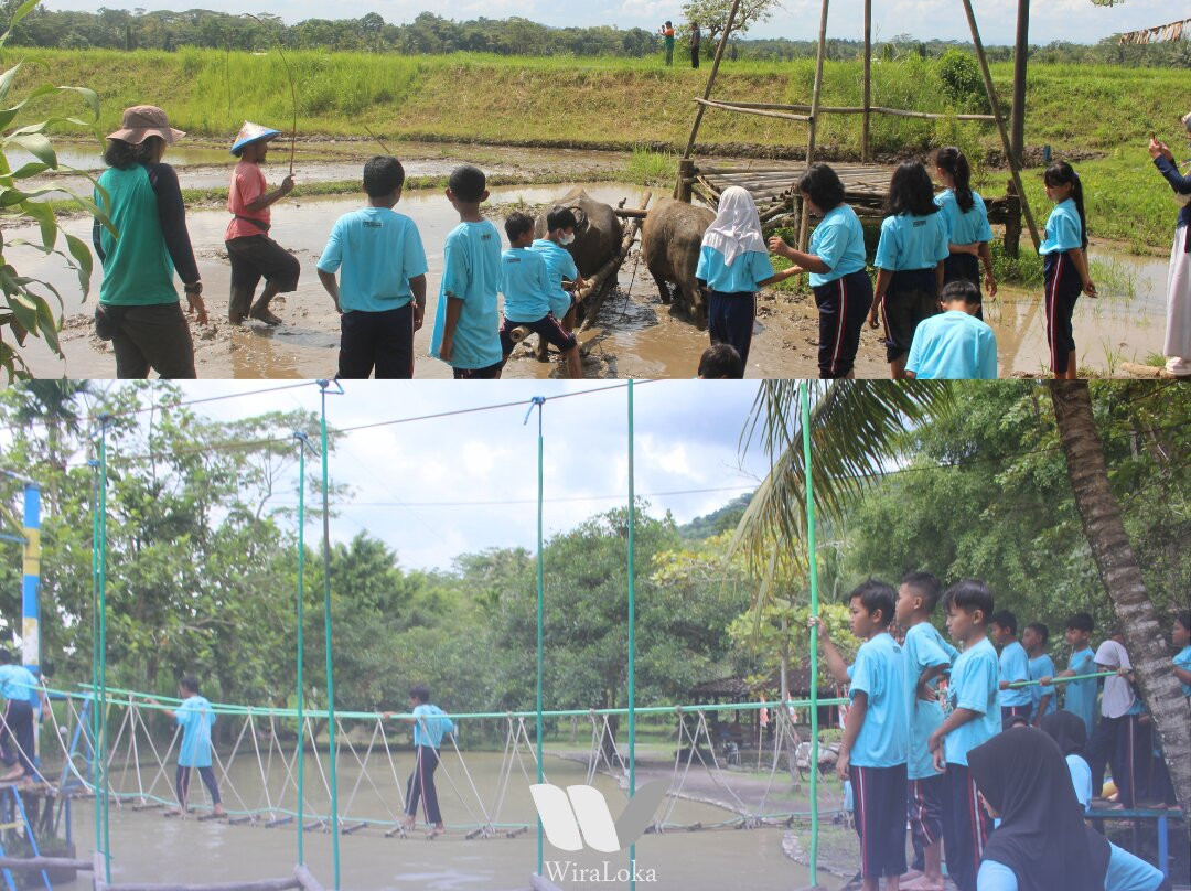 Dolandeso Boro-Kulon Progo必去景点