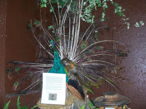 Beaver Springs Fishing Park-威斯康星峡谷必去景点