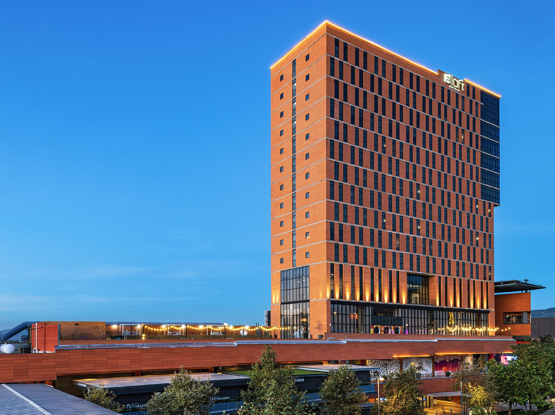Aloft Guadalajara Sur主图