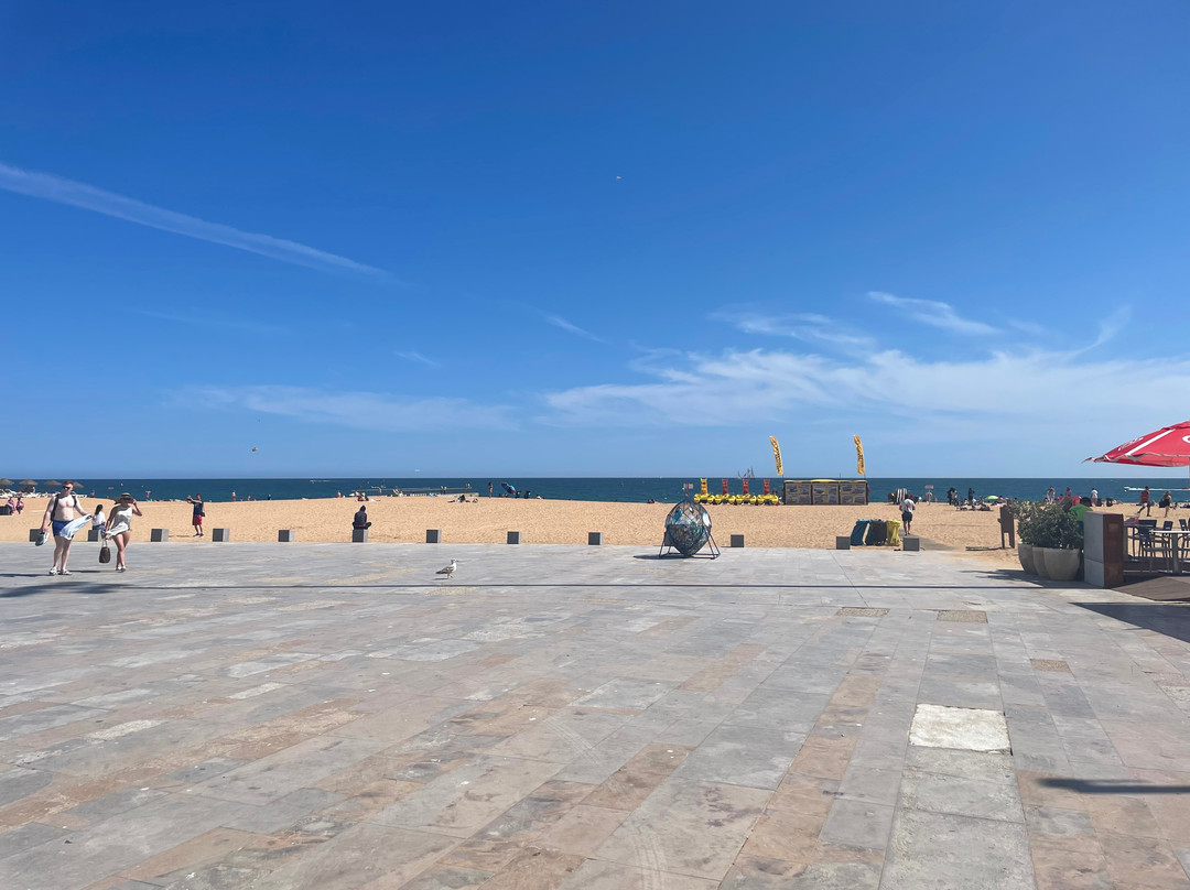 Novochoro Apartamentos Turisticos主图