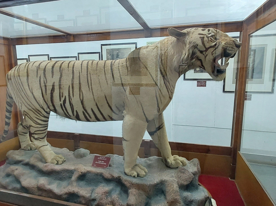 Ganga Singh Museum景点图片