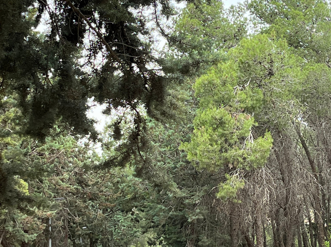 Talitha Kumi Guest House主图