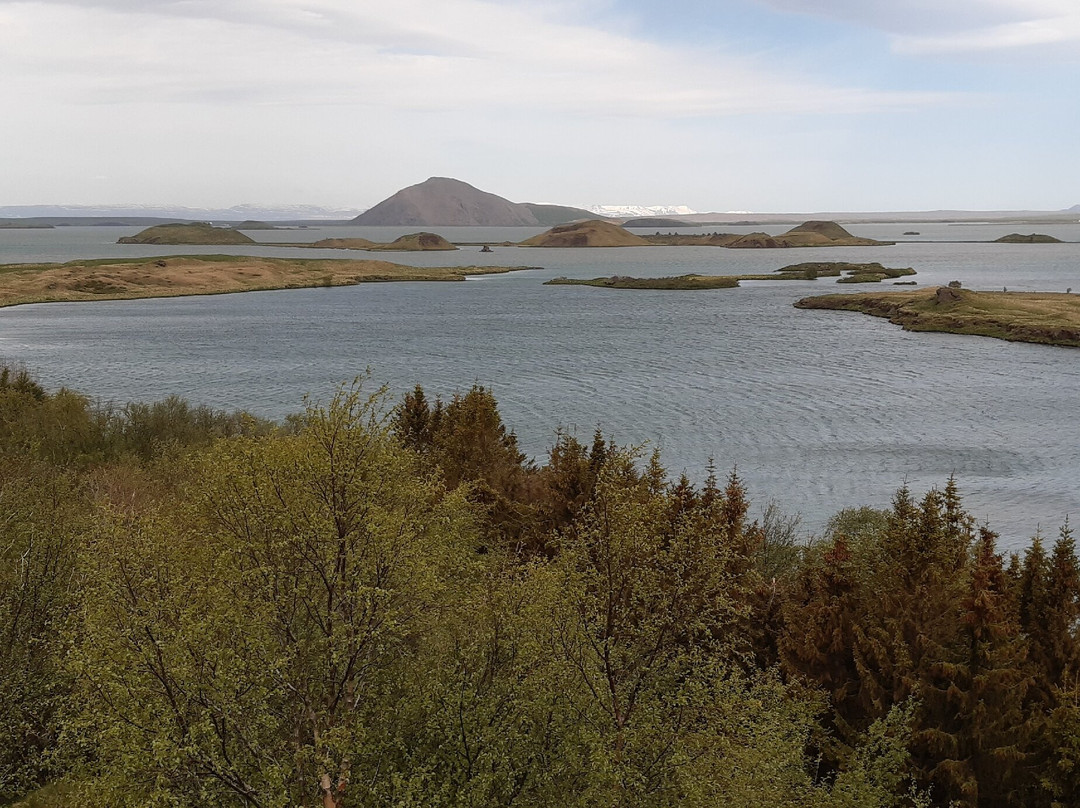 Hofdi-米湖必去景点