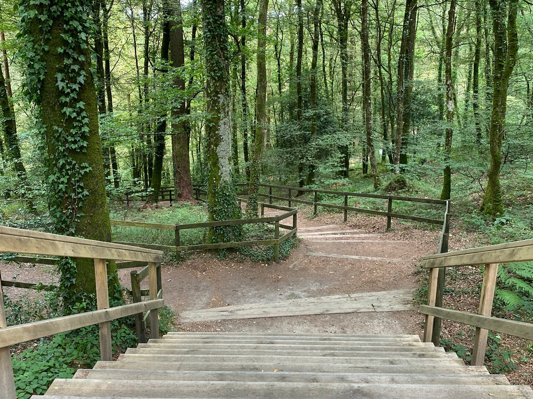 Les Roches Du Diable-Guilligomarc’h必去景点