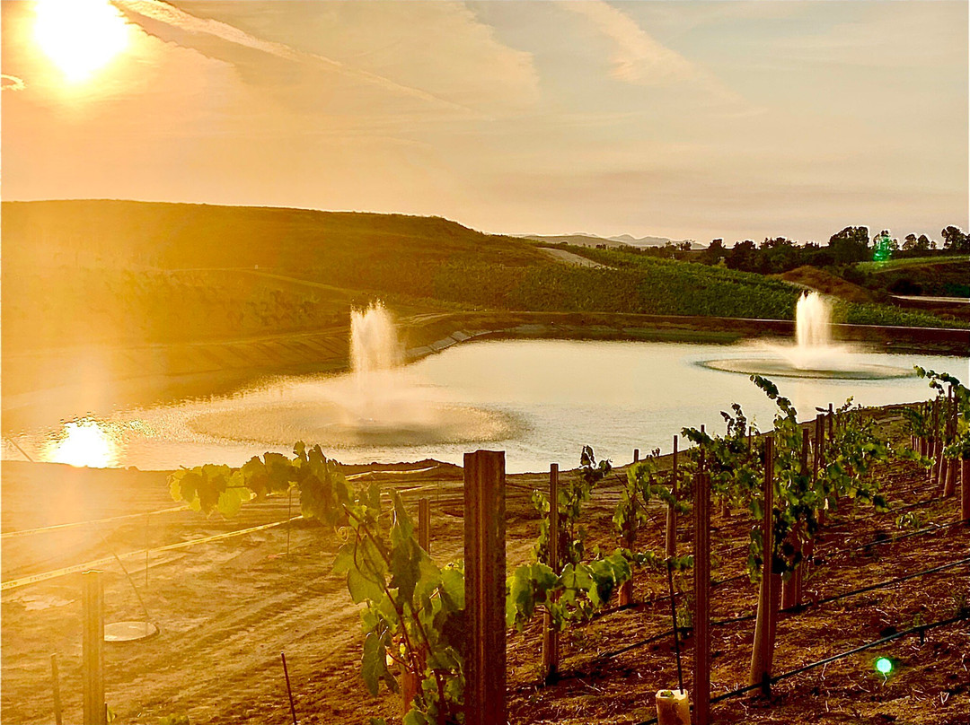 Mount Palomar Winery-特曼库拉必去景点