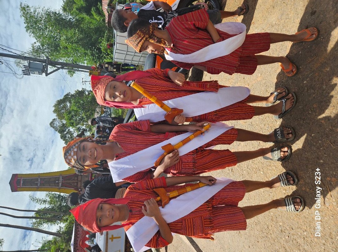 TORAJA TOUR WITH GUIDE SERVICE.景点图片