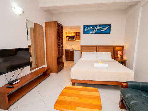 萨拉奈公寓主图