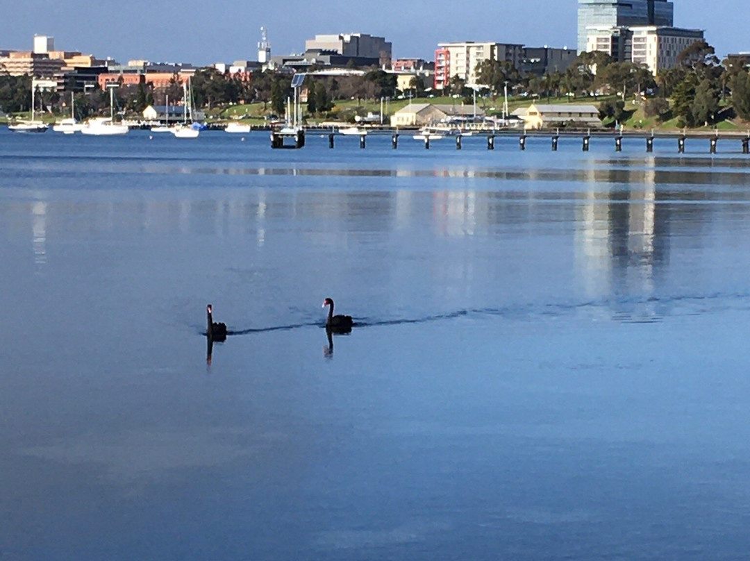 Rippleside Park-季隆必去景点
