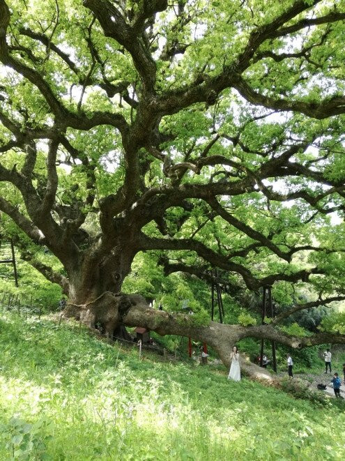 Shishijima no Okusu景点图片