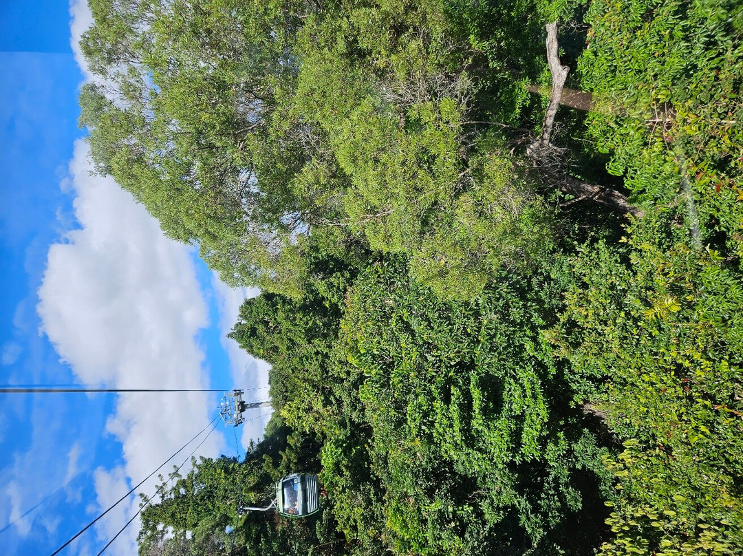 Kuranda Rainforest Journeys ATV Tours-凯恩斯必去景点