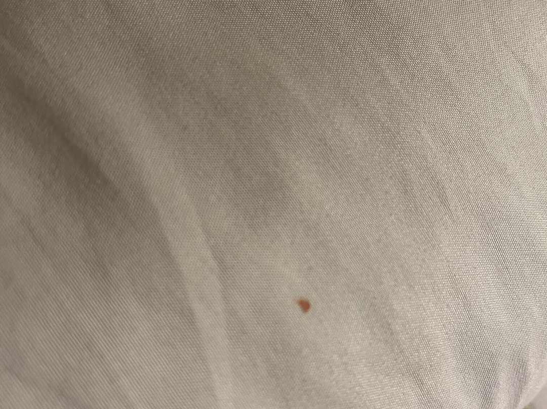 切托萨迪玛贾诺酒店主图