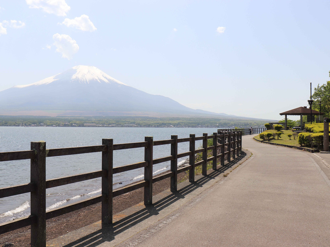 Nagaike Shinsui Park景点图片