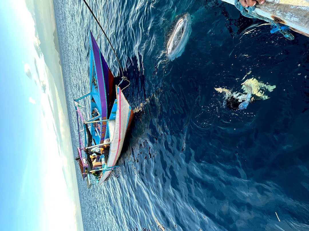 Moyo Island-Sumbawa必去景点