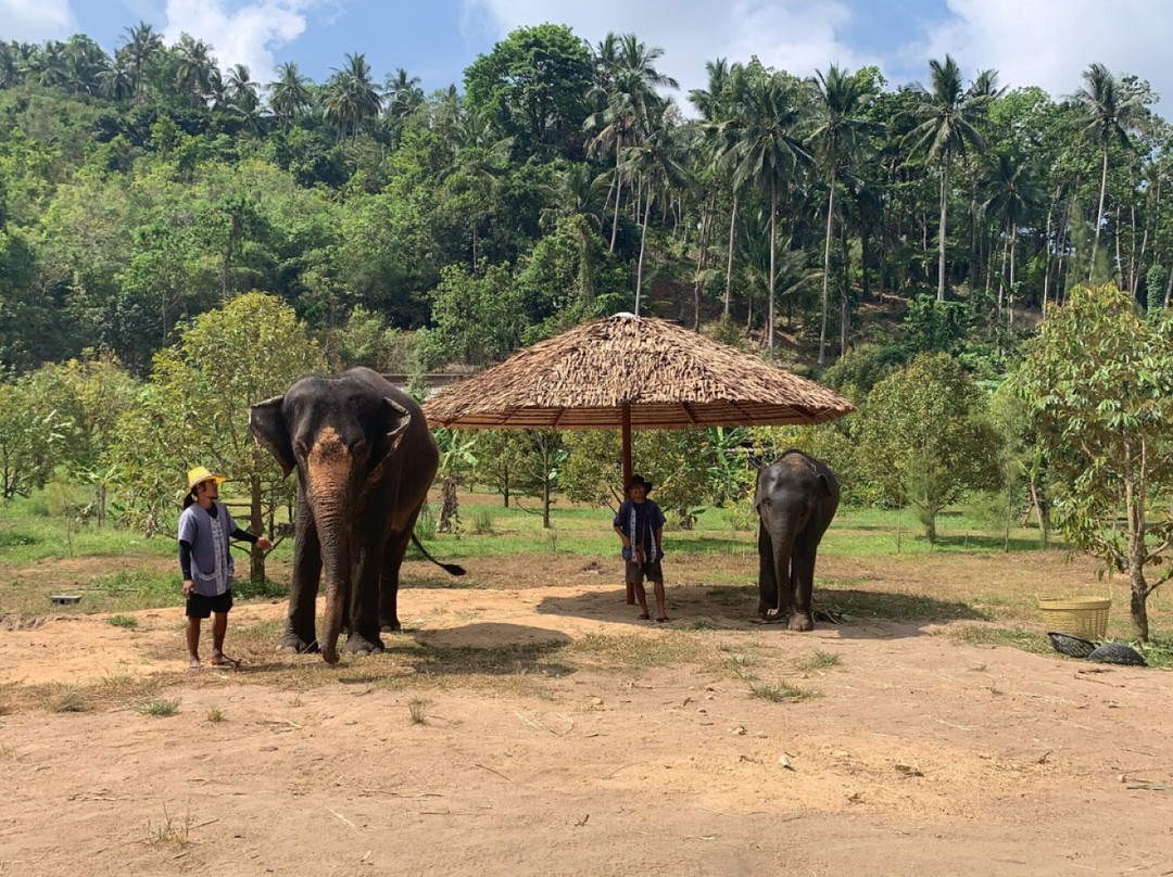 Thai Holiday Planner-苏梅岛必去景点