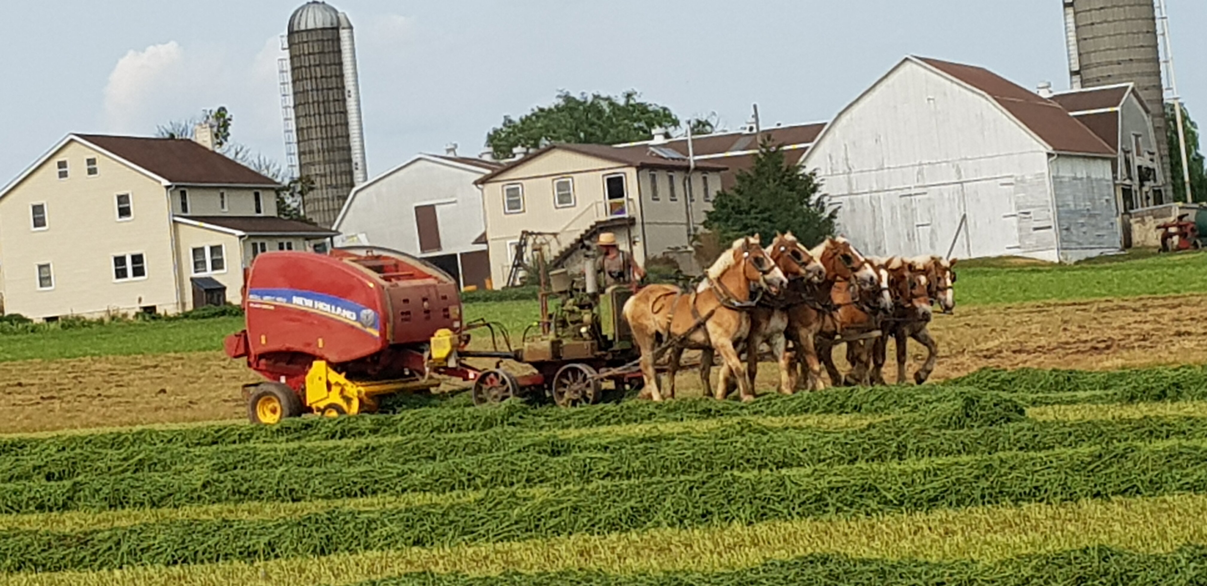 La Quinta Inn & Suites by Wyndham Lancaster-浴室