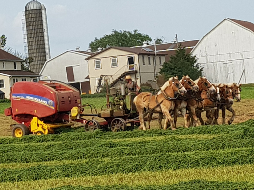 La Quinta Inn & Suites by Wyndham Lancaster主图