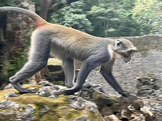 Samuel & Giulio-瓦塔木必去景点