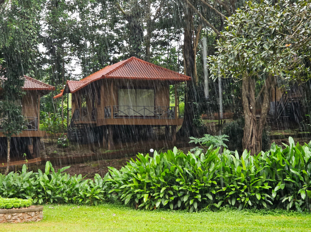 Sterling Vythiri Wayanad