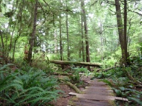 Tla Ook Cultural Adventures-托菲诺必去景点