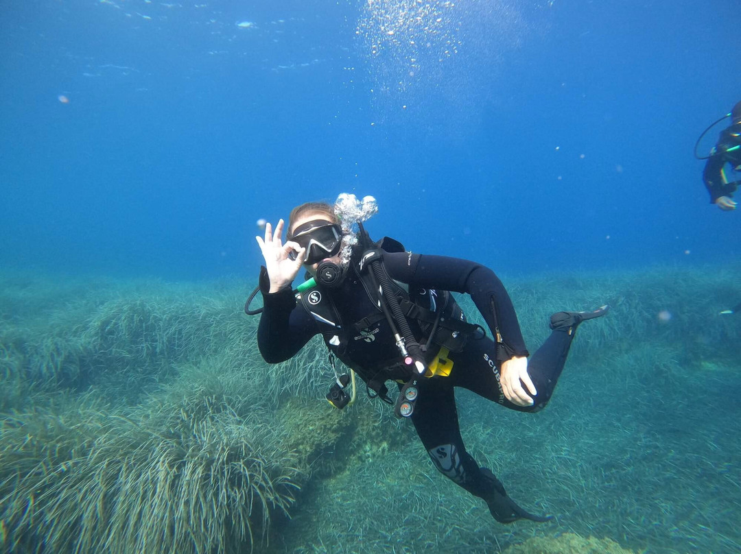 Deep Blue Divers-塞沃塔必去景点