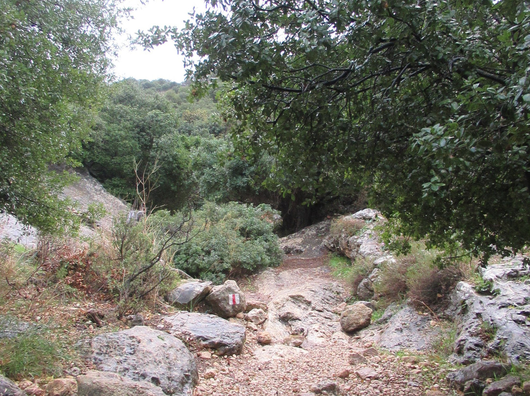 Twins Cave-Beit Shemesh必去景点
