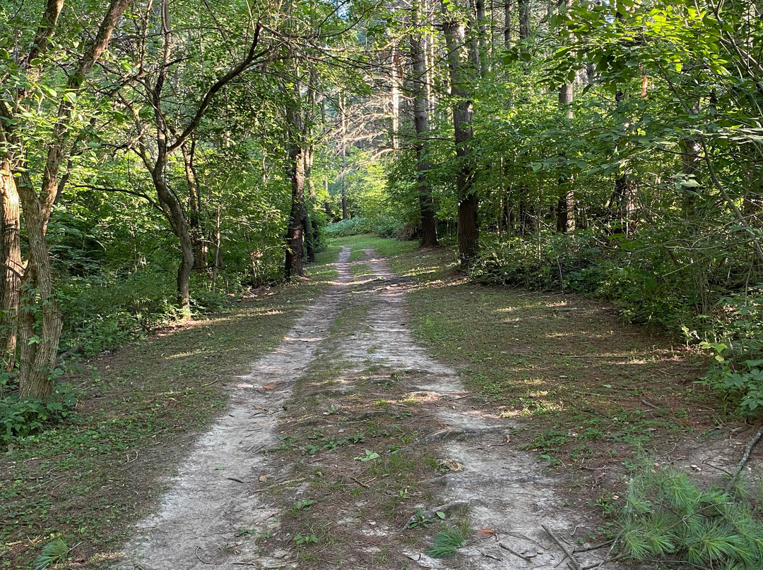 Wildcat Den State Park景点图片