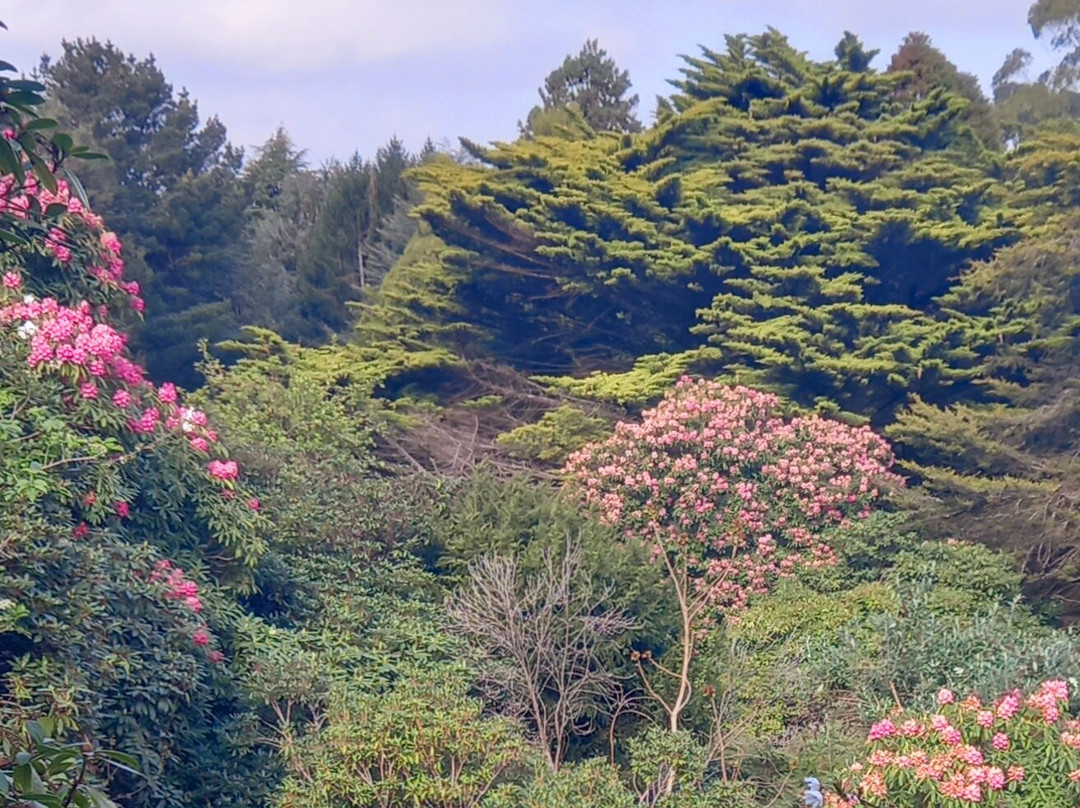 Woolrich Historic Garden Accommodation主图