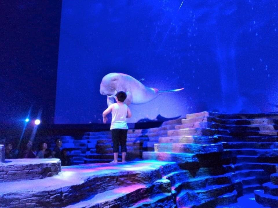 Aqua Planet Yeosu-丽水市必去景点